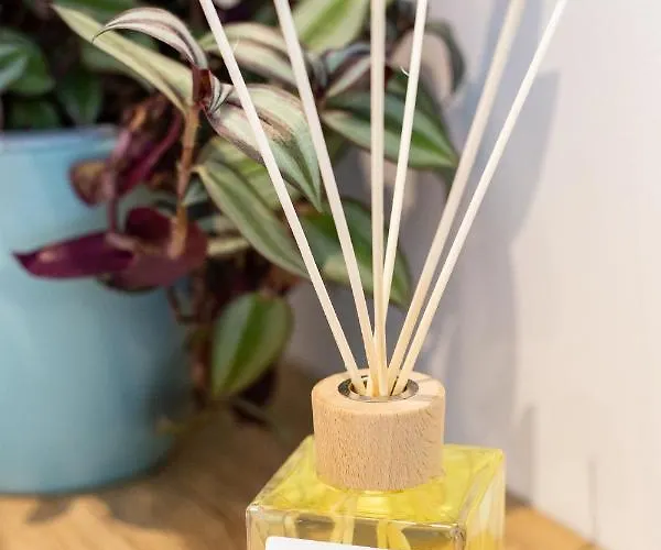 Majorca 3* Gabicce Mare